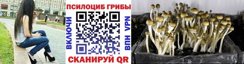 нарко площадка официальный сайт  Похвистнево  Галлюциногенные грибы Psilocybine cubensis 